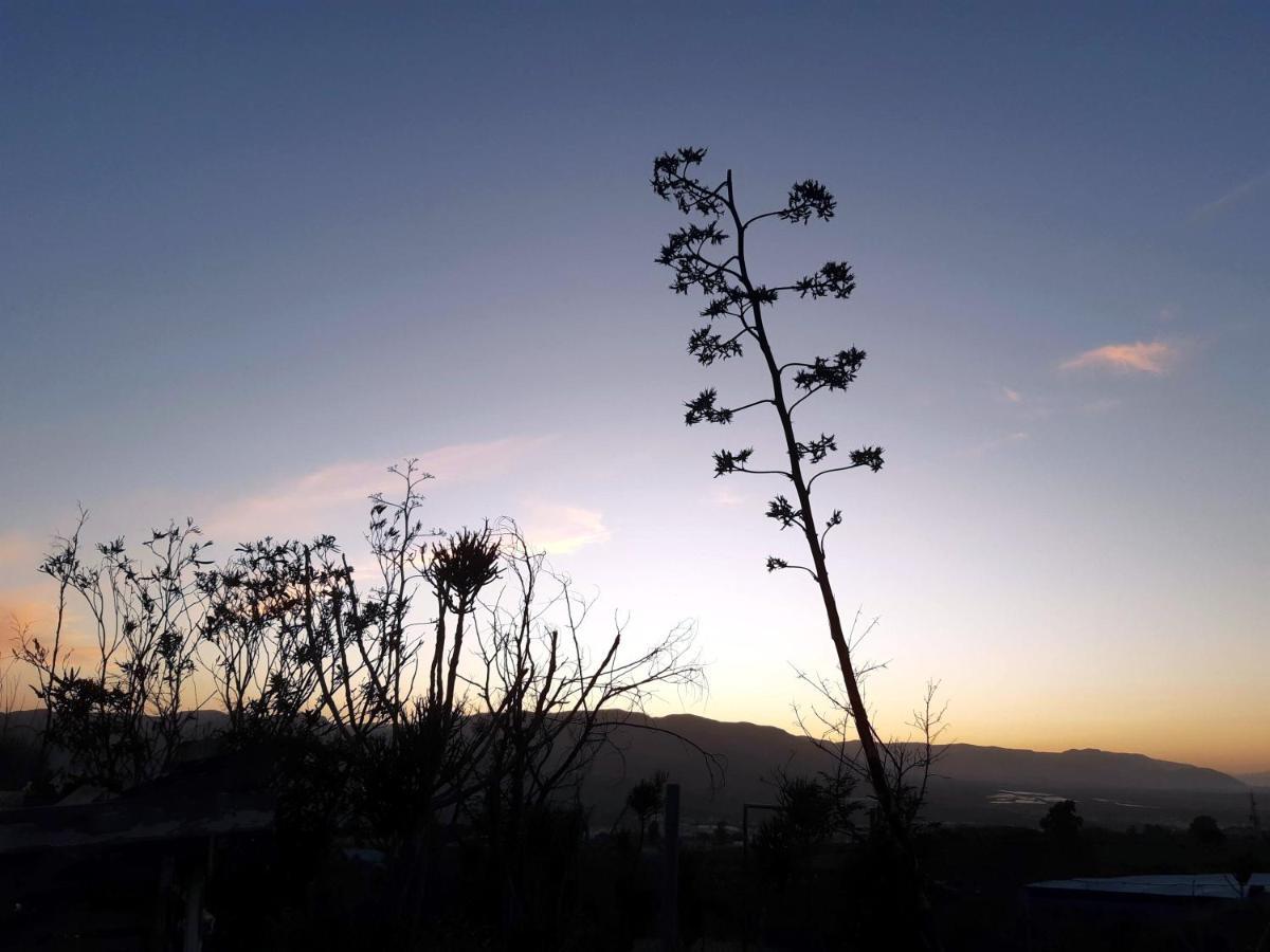 Cortijo Aire Del Desierto Rustico Y Tranquilo Entre El Mar Y Desierto - Alborania Βίλα Pechina Εξωτερικό φωτογραφία