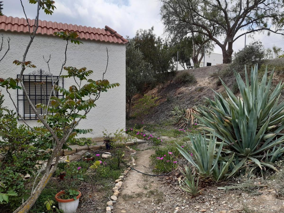 Cortijo Aire Del Desierto Rustico Y Tranquilo Entre El Mar Y Desierto - Alborania Βίλα Pechina Εξωτερικό φωτογραφία